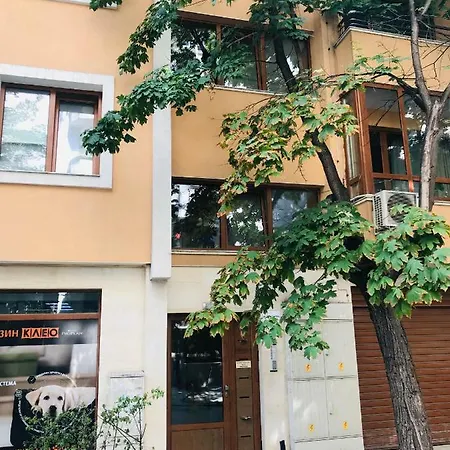 Saketi